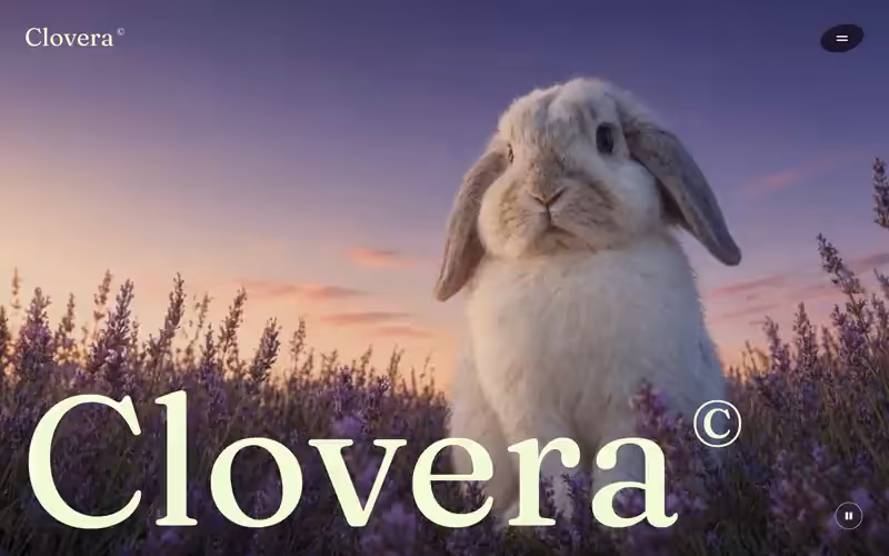 Clovera: página de producto en movimiento