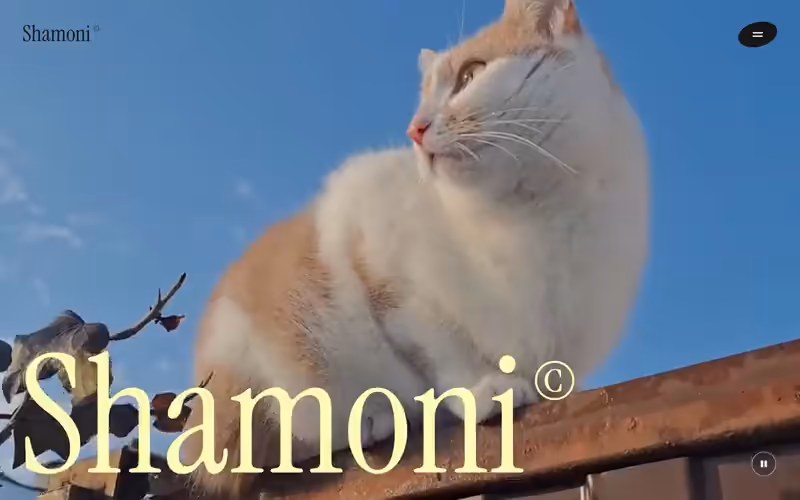 Shamoni: product page in motion